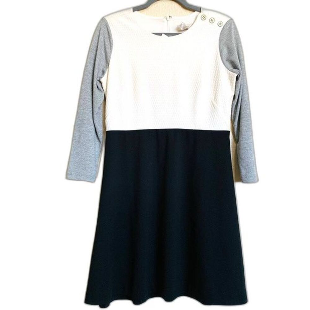 Ann Taylor Loft petite dress for women Color Block A-line Dress size 8P academia
